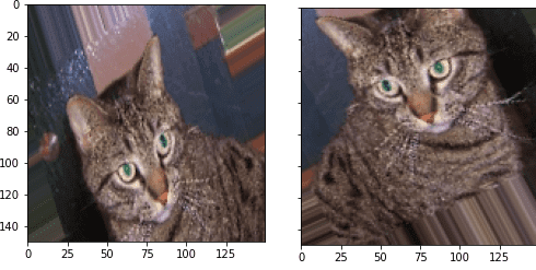 Кошка после Data Augmentation в TensorFlow