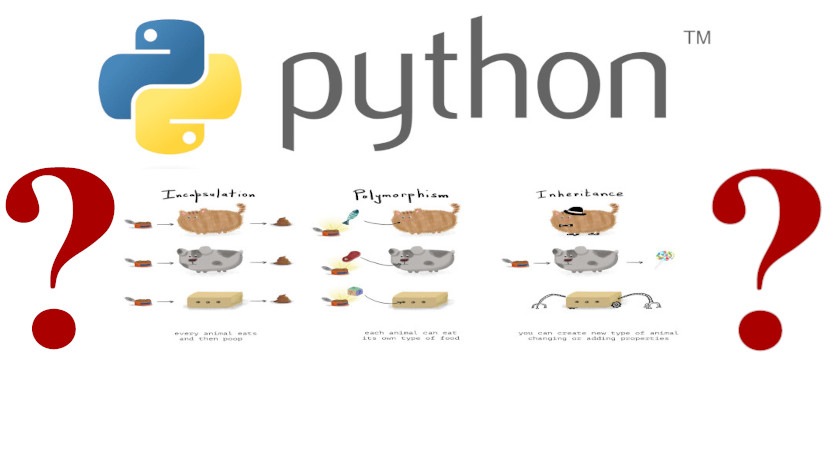 Тест на знание python. Уровни знания python. изображение пайтон открыт для всех желающих.